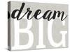 Dream Big Distressed Treatment-Leslie Wing-Stretched Canvas