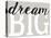 Dream Big Distressed Treatment-Leslie Wing-Stretched Canvas