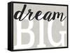 Dream Big Distressed Treatment-Leslie Wing-Framed Stretched Canvas
