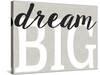 Dream Big Distressed Treatment-Leslie Wing-Stretched Canvas