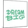 Dream Big - Hand Lettering Motivation Concept. Rough Texture of Urban Wall Street Graffiti. Artisti-Svetlana Shamshurina-Mounted Photographic Print