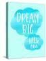 Dream Big Little One-Bella Dos Santos-Stretched Canvas