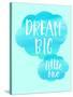 Dream Big Little One-Bella Dos Santos-Stretched Canvas