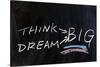 Dream Big-Raywoo-Stretched Canvas