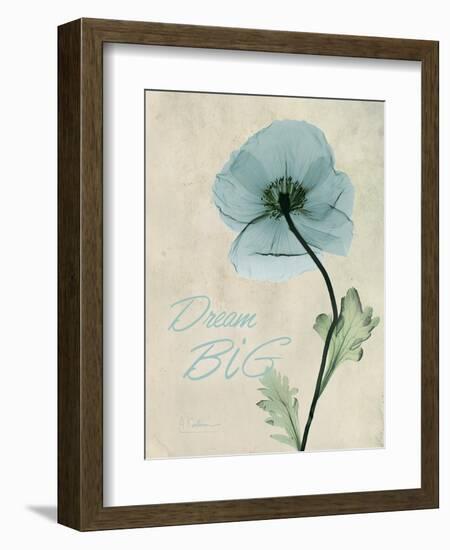 Dream Big-Albert Koetsier-Framed Art Print