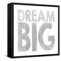 Dream Big-Erin Clark-Framed Stretched Canvas