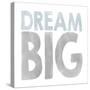 Dream Big-Erin Clark-Stretched Canvas