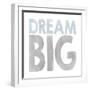 Dream Big-Erin Clark-Framed Giclee Print