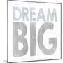 Dream Big-Erin Clark-Mounted Giclee Print