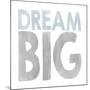 Dream Big-Erin Clark-Mounted Giclee Print