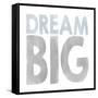 Dream Big-Erin Clark-Framed Stretched Canvas