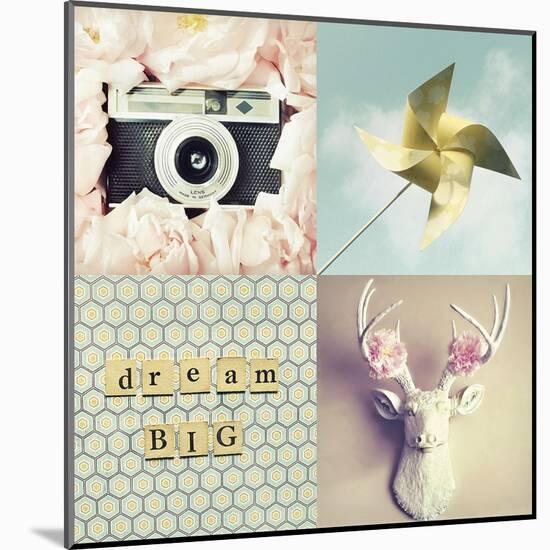 Dream Big-Vicki Dvorak-Mounted Art Print