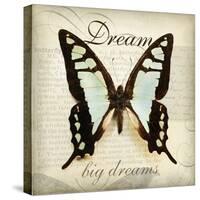 Dream Big-Amy Melious-Stretched Canvas