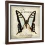 Dream Big-Amy Melious-Framed Art Print