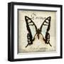 Dream Big-Amy Melious-Framed Art Print