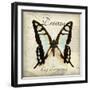 Dream Big-Amy Melious-Framed Art Print