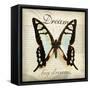 Dream Big-Amy Melious-Framed Stretched Canvas