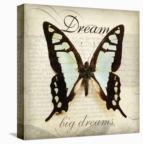 Dream Big-Amy Melious-Stretched Canvas