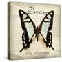 Dream Big-Amy Melious-Stretched Canvas