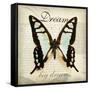 Dream Big-Amy Melious-Framed Stretched Canvas