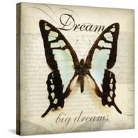 Dream Big-Amy Melious-Stretched Canvas