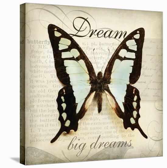 Dream Big-Amy Melious-Stretched Canvas