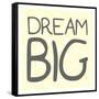 Dream Big-Milli Villa-Framed Stretched Canvas