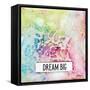 Dream Big-Britt Hallowell-Framed Stretched Canvas