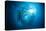 Dream Blackfin Barracuda, Sphyraena Qenie, Mary Island, the Solomon Islands-Reinhard Dirscherl-Stretched Canvas