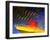 Dream Boat-Miron Abramovici-Framed Photographic Print