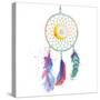 Dream Catcher-Victoria Brown-Stretched Canvas