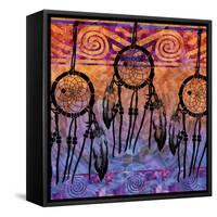 Dream Catchers-Bee Sturgis-Framed Stretched Canvas