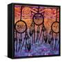 Dream Catchers-Bee Sturgis-Framed Stretched Canvas