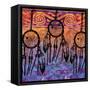 Dream Catchers-Bee Sturgis-Framed Stretched Canvas