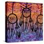 Dream Catchers-Bee Sturgis-Stretched Canvas