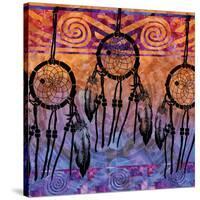 Dream Catchers-Bee Sturgis-Stretched Canvas
