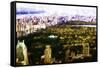 Dream Central Park-Philippe Hugonnard-Framed Stretched Canvas