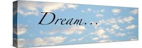 Dream Clouds Plaque-Nicole Katano-Stretched Canvas