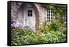 Dream Cottage II-George Oze-Framed Stretched Canvas