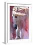 Dream Dancer-Carolyne Hawley-Framed Premium Giclee Print