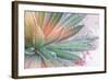 Dream Desert I-Sue Schlabach-Framed Art Print