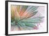 Dream Desert I-Sue Schlabach-Framed Art Print