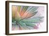 Dream Desert I-Sue Schlabach-Framed Art Print