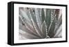 Dream Desert II BWC-Sue Schlabach-Framed Stretched Canvas