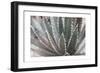 Dream Desert II BWC-Sue Schlabach-Framed Art Print