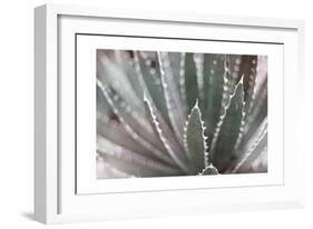 Dream Desert II BWC-Sue Schlabach-Framed Art Print