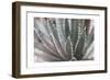 Dream Desert II BWC-Sue Schlabach-Framed Premium Giclee Print