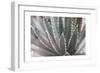 Dream Desert II BWC-Sue Schlabach-Framed Premium Giclee Print