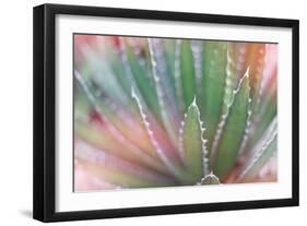 Dream Desert II-Sue Schlabach-Framed Art Print