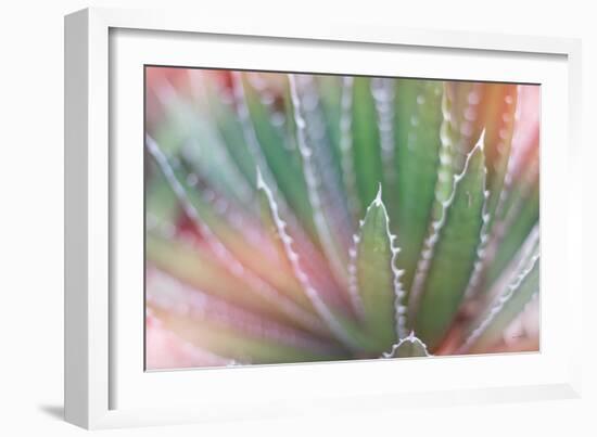 Dream Desert II-Sue Schlabach-Framed Art Print